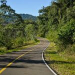 road, nature, travel-6774756.jpg